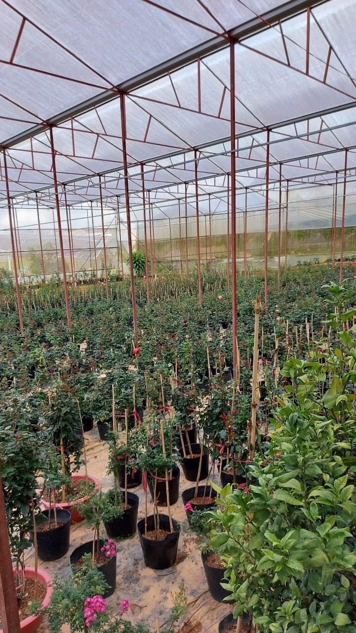 Hinh-Bán đất nông nghiệp An Sơn Phường 4 Đà Lạt